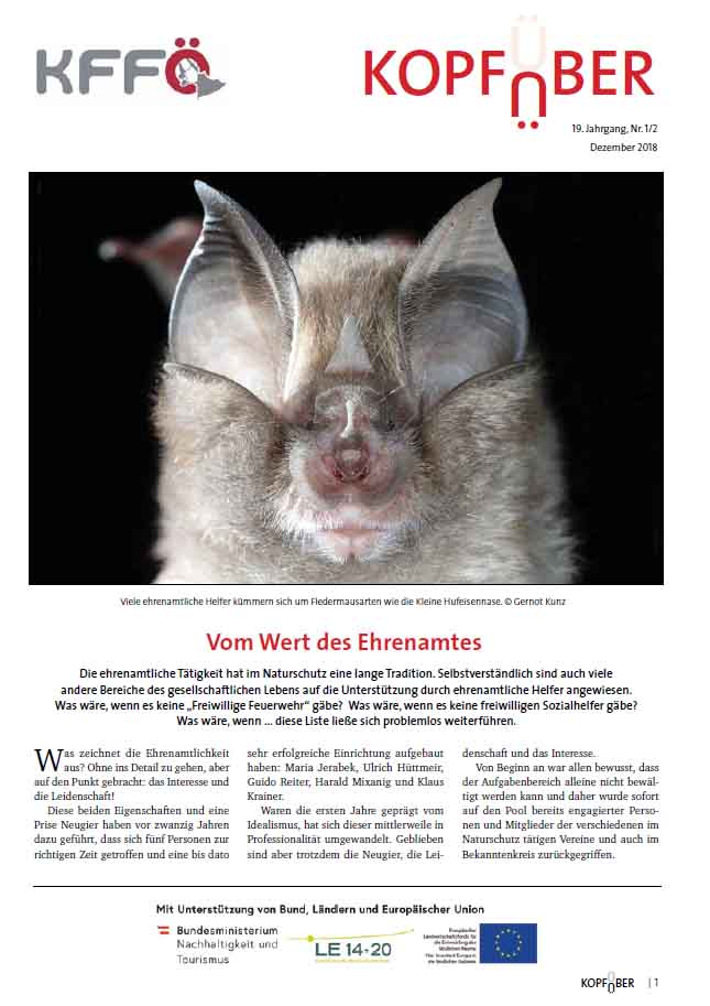 Kopfüber Cover 2018